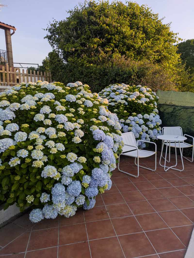 casa-carmino-1